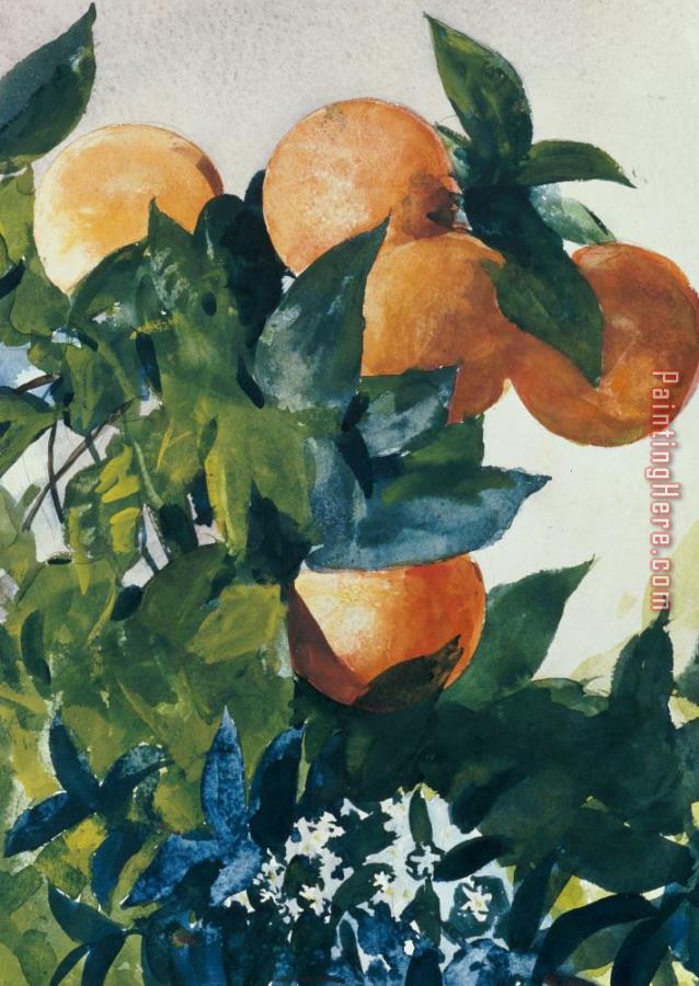 Winslow Homer Oranges on a Branch